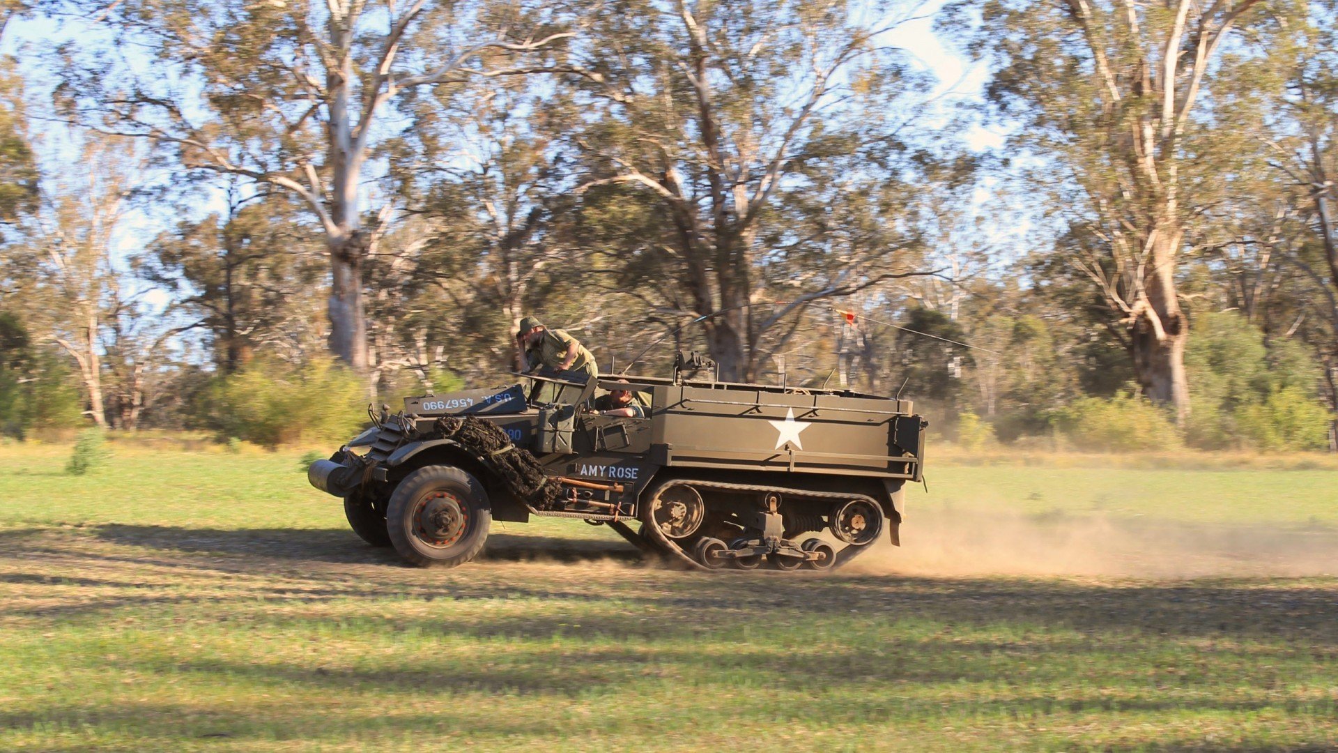 _森林狼战斗精神十足，稳扎稳打_，森林狼kg