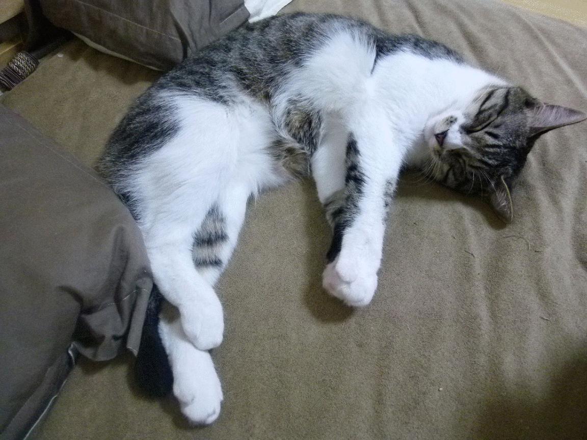 kaiyun体育综合-“中超联赛精彩对决不断，观赛热情持续高涨”，中超联赛现场