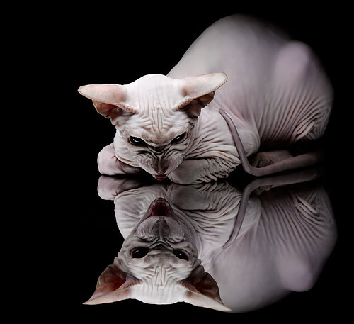 kaiyun网站-前三名差距缩小：争冠白热化！