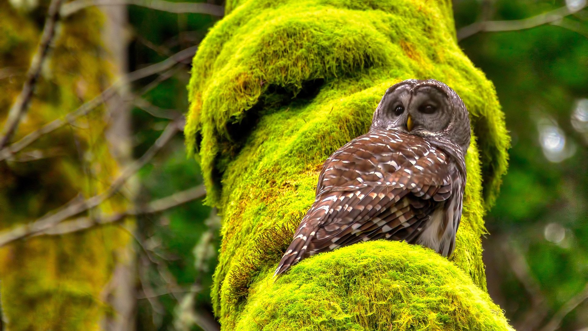 开云kaiyun-哥伦比亚女足在巴黎奥运会比赛中以2-0战胜新西兰，奥运会哥伦比亚女神