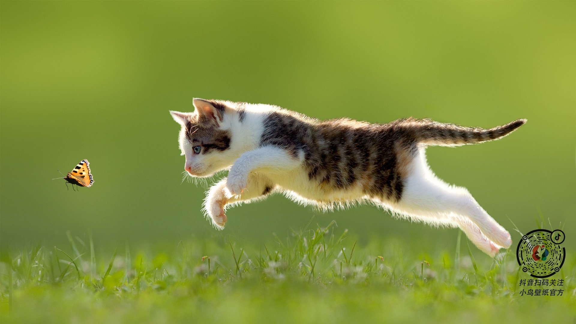 国际夜空星光瑜伽节，身心灵的静谧体验，星空瑜伽馆怎么样