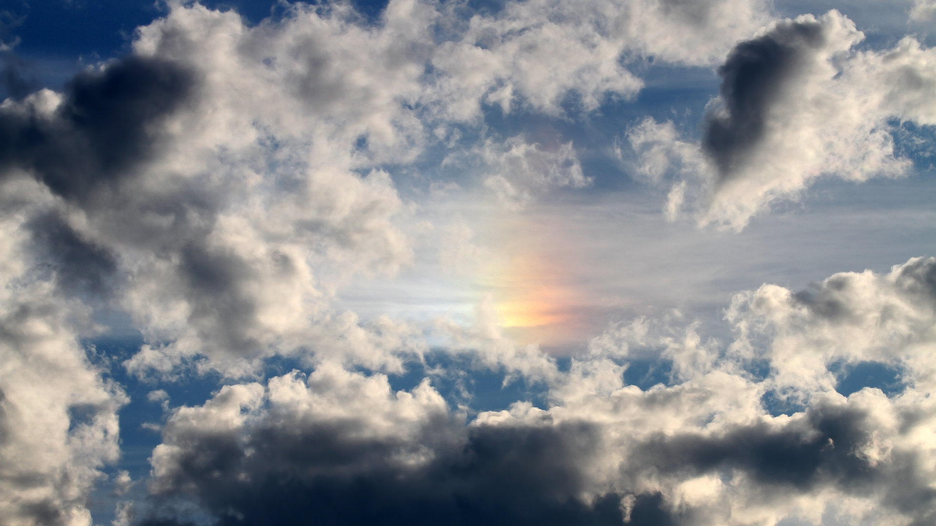 开云中国-埃马纽埃尔·瓦尼奥尼成为最年轻的800米奥运冠军