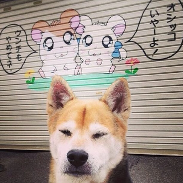 开云网站-安德烈·桑托斯在斯特拉斯堡表现出色，入选赛季最佳阵容，桑德斯和安格尔