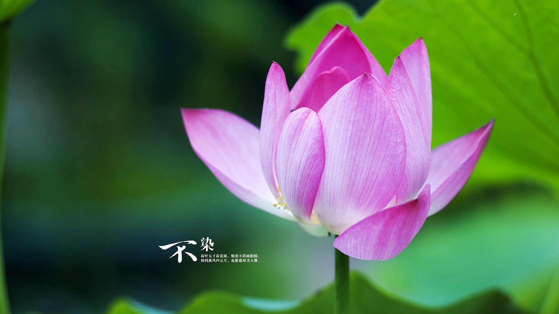 高空跳伞挑战:从天空一跃而下,高空跳伞专业术语