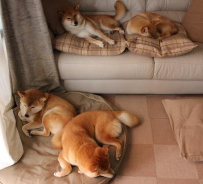 中国篮球运动文化传播路径探析，中国篮球文化概述