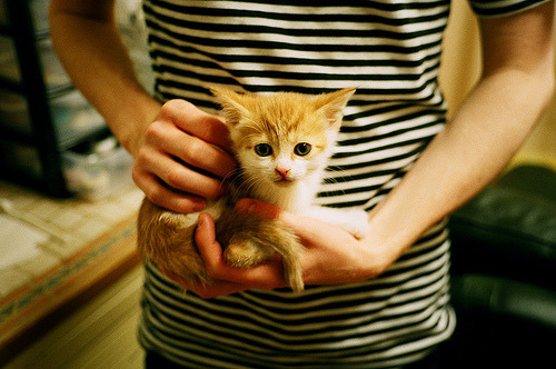 KAIYUN 中国大陆-凯泽斯劳滕高歌猛进，梦想前行披荆斩棘，凯泽斯劳滕夺冠主力