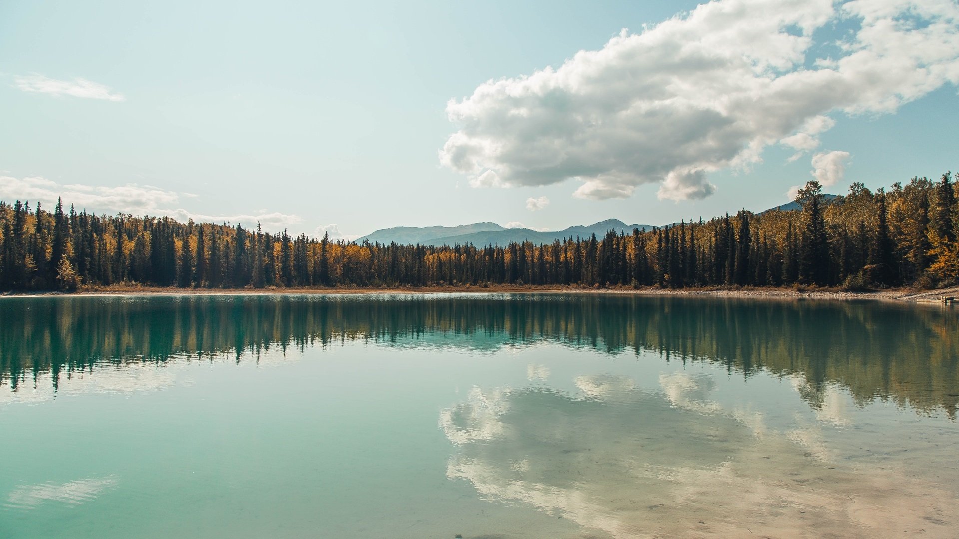 南安普顿防守稳固,圣玛丽球场力拼积分,南安普顿和玛丽女王