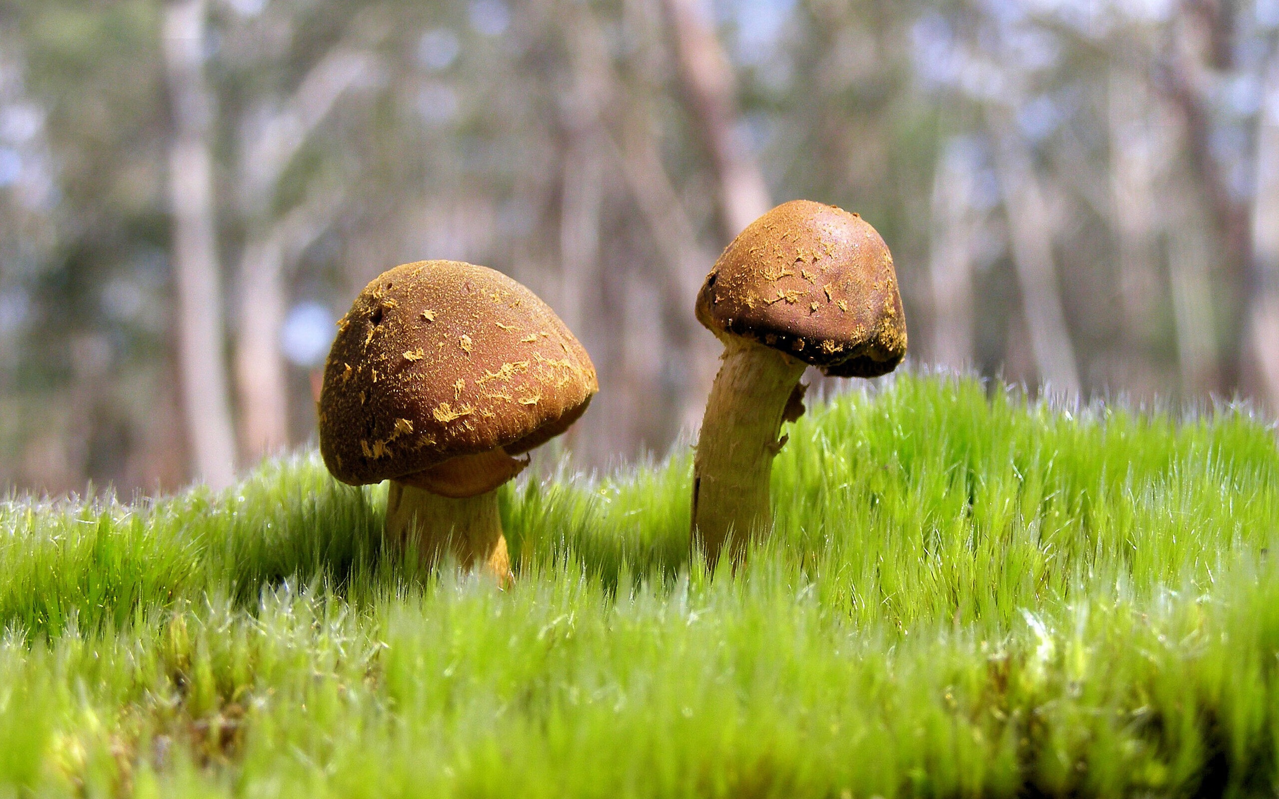 kaiyun官方网站-夺冠热门频频失误，迎接激烈挑战，夺冠瞬间视频