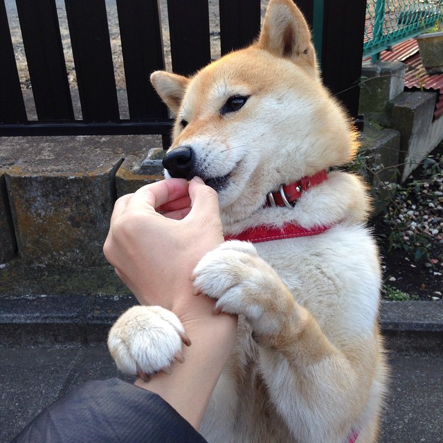 巴黎客场大胜图卢兹，全取三分稳坐次席，21-22巴黎客场