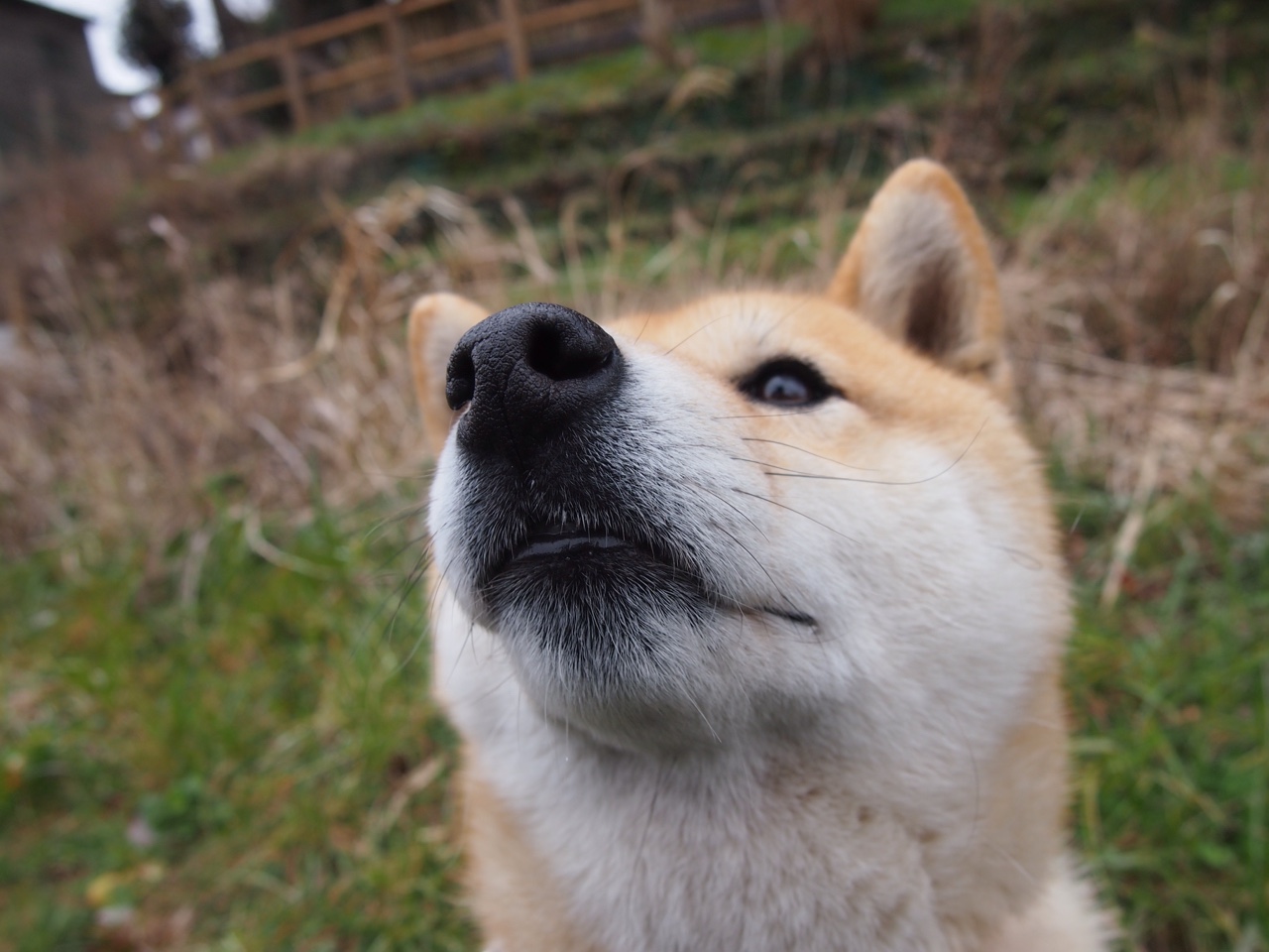 悬念丛生羽毛球混双小组最后晋级战，羽毛球十大混双组合