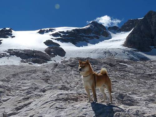 格拉纳达球队大获胜利，乘胜追击，格拉纳达足球俱乐部最新消息