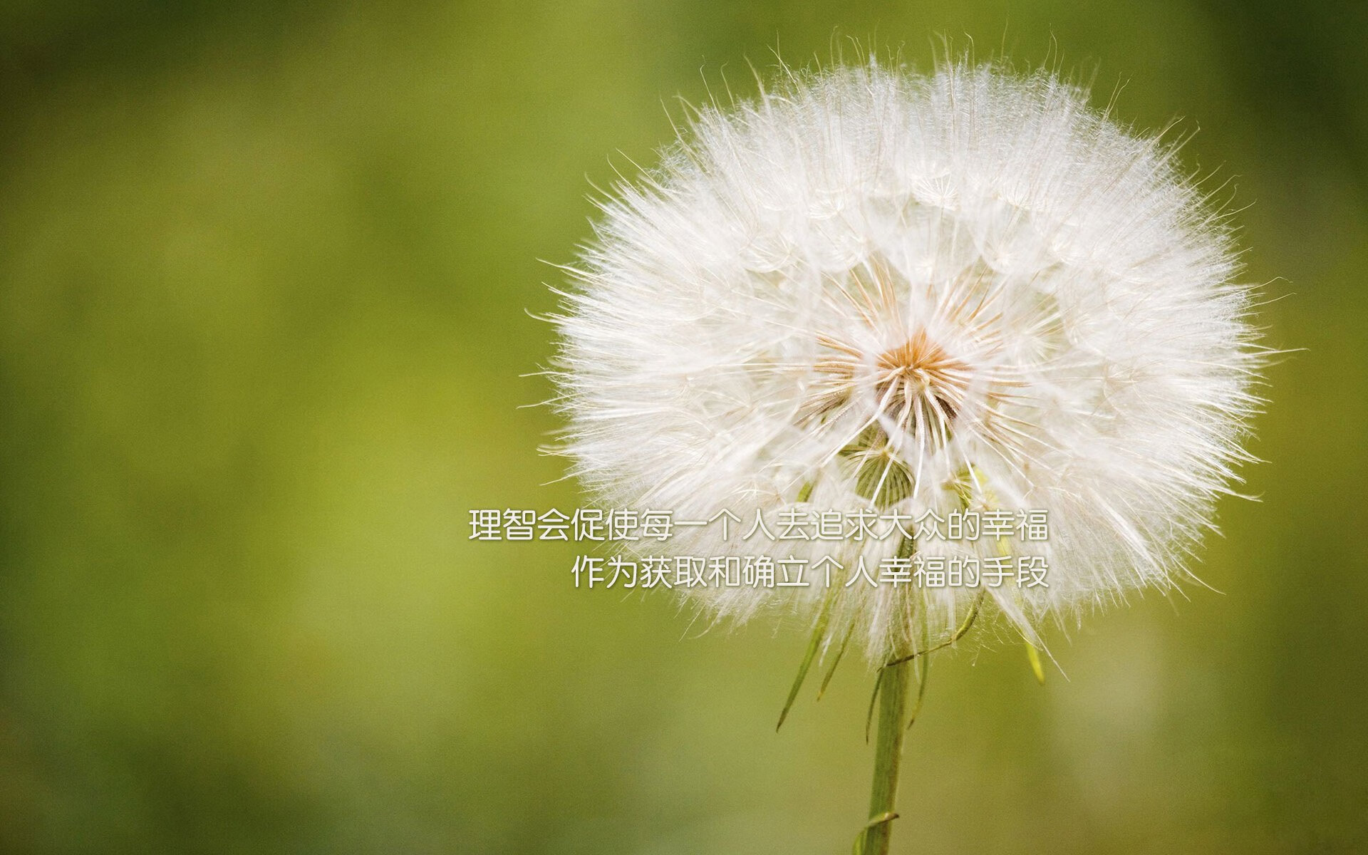 梅西率领迈阿密国际晋级中北美洲及加勒比海冠军杯半决赛,中北美洲及加勒比海冠军联赛奖杯