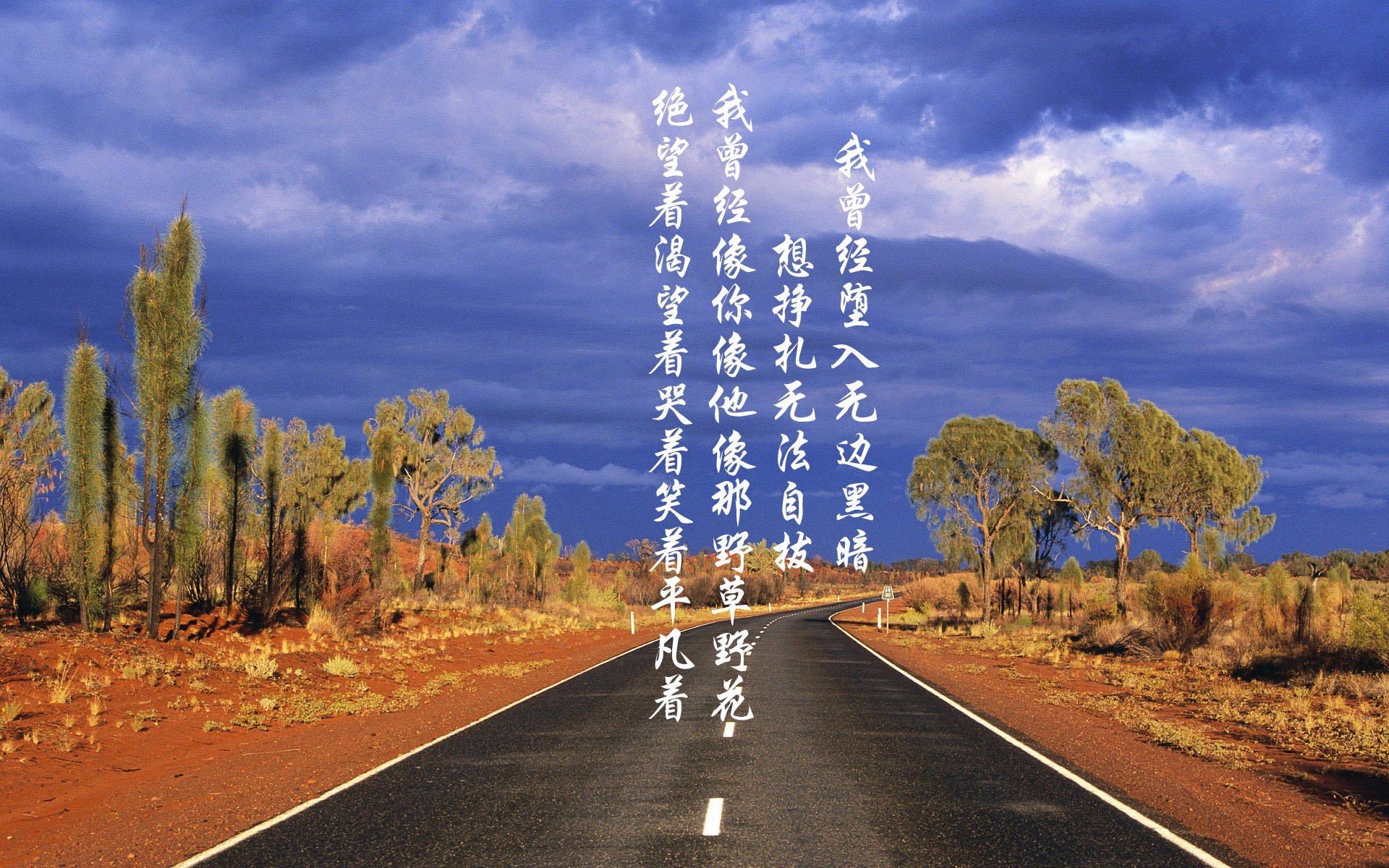 开云体育APP下载-激情足球战绩超群，女足大赛掀起巨浪，女足比赛视频