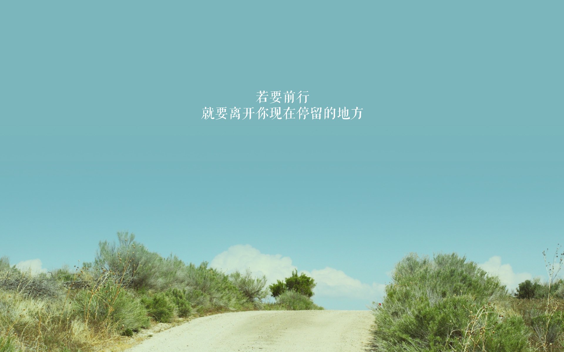 葡萄牙胜阿尔及利亚，梅南德斯破门，葡萄牙胜其他