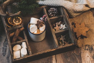 开云中国大陆-NBA赛季助攻王表现动态，nba本赛季助攻王