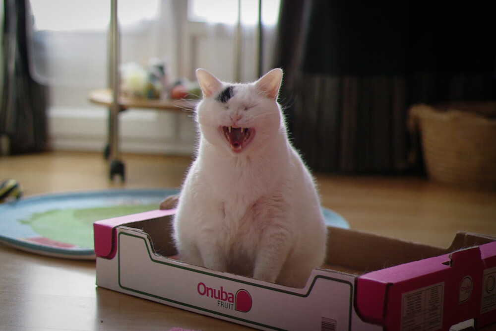 体育场馆智能安全系统，体育场馆智慧化