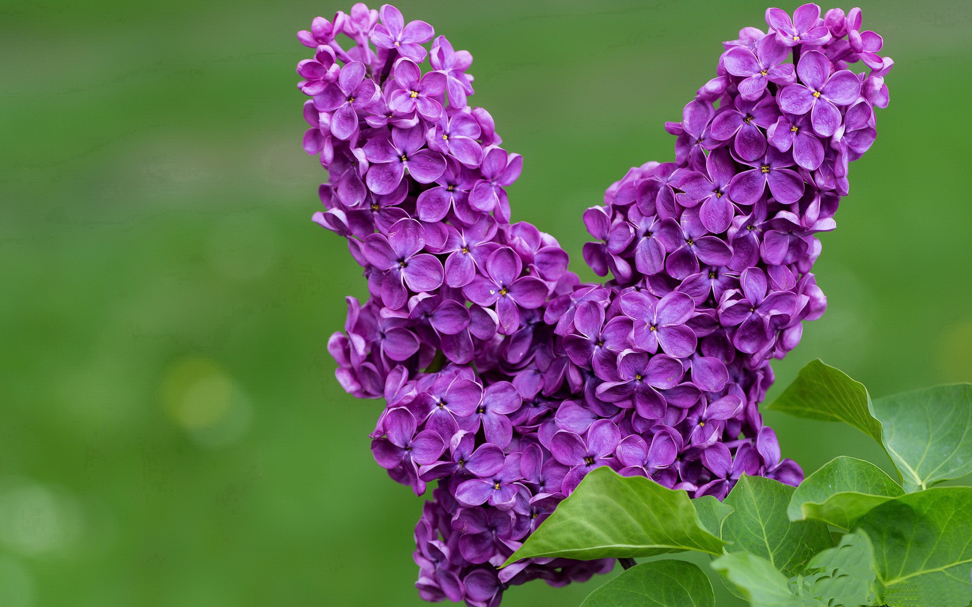 新疆男篮发挥整体篮球理念构建团队优势，新疆篮球队的