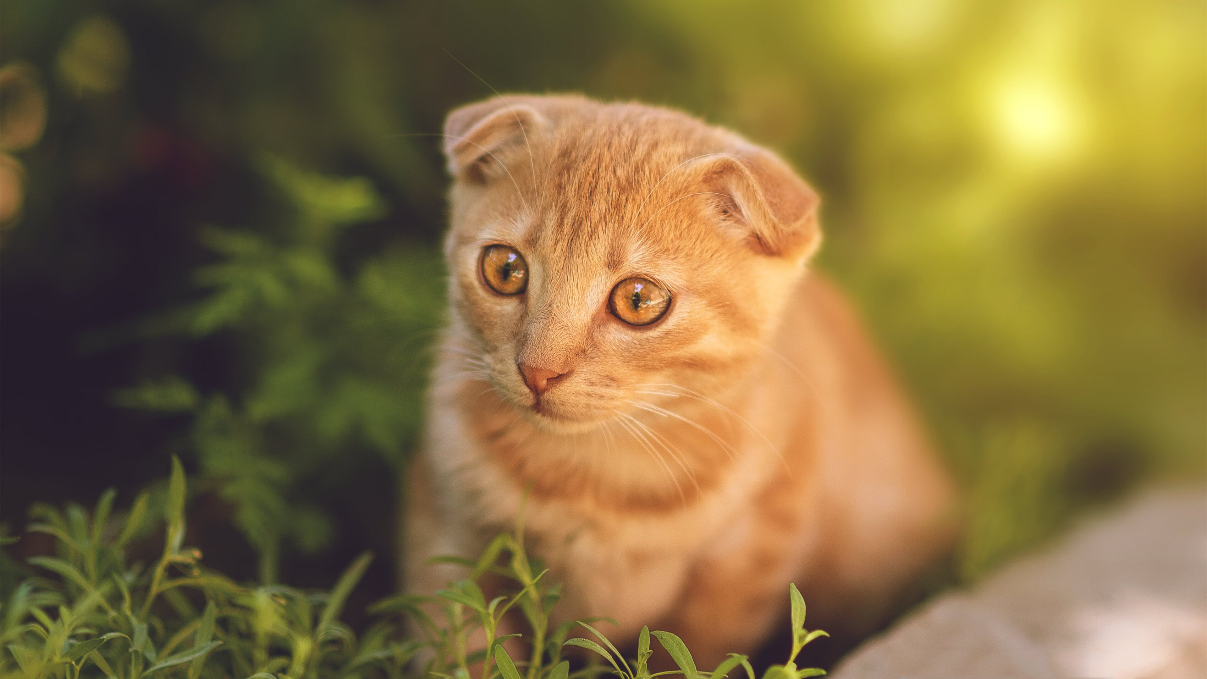 球队是否通过边路连续推进撕裂密集防守线路