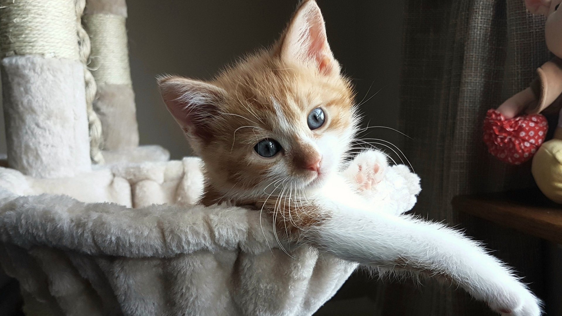 开云官方网页登录-转身效率提升，中立B技术改革见效，中立ah