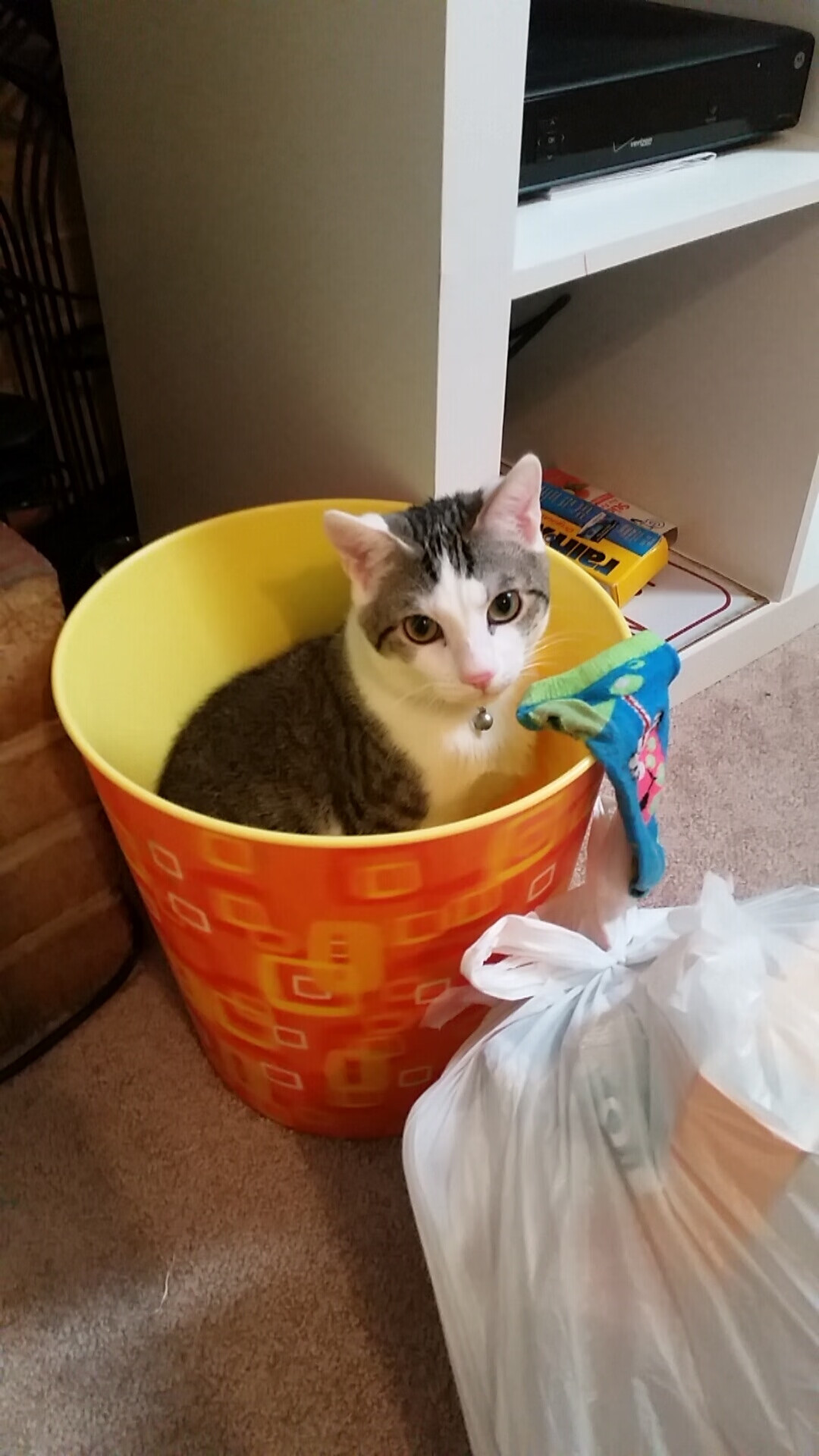 KAIYUN 中国大陆-南非青训计划大力发展，球员的多样化培养模式崭露头角，南非运动员