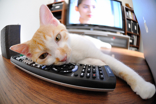 开云中国-吉尔吉斯斯坦女将自由泳展现速度优势，吉尔吉斯斯坦游泳运动员