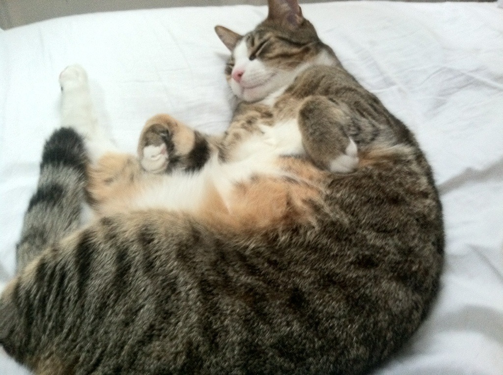 kaiyun网站-火箭组织全队阅读会增强队内沟通能力，火箭队内训练视频