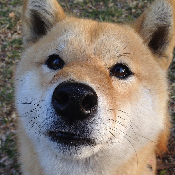 男篮国家队集训名单公布多名新星首次入选阵容，中国男篮国家队集训名单公布(组图)