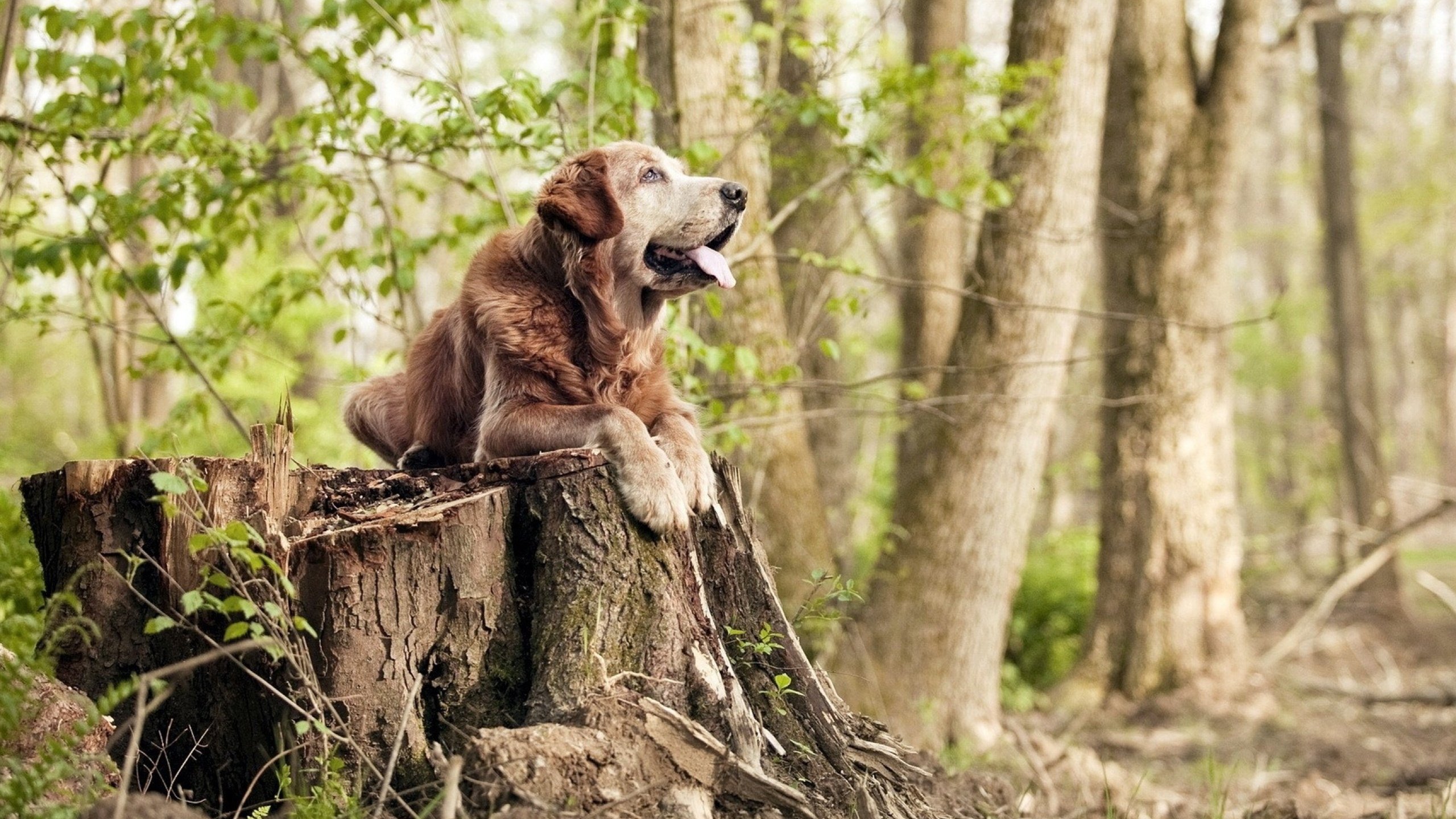青年球员体重管理计划获成效，爆发力提升明显，职业球员体重